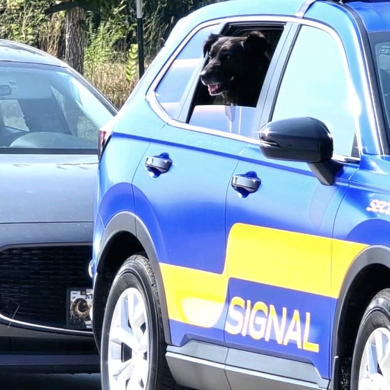 Annie looking out the window of a marked Signal of Lincoln patrol vehicle