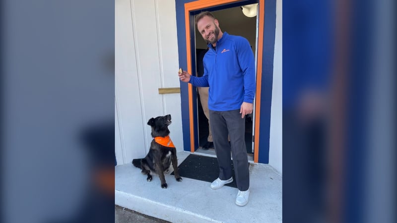 Troy Nielsen, owner of Signal of Lincoln, with Annie, the company's Chief Happiness Pawficer